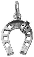 Charm Giovanni Raspini Donna in Argento 11077 - 11077